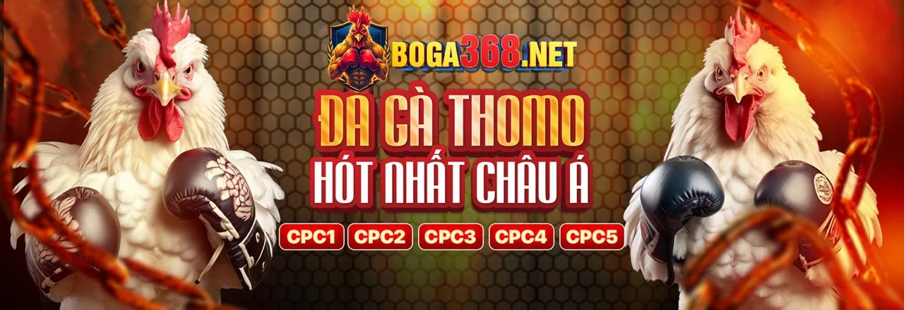 Tổng quan nền tảng cá cược trực tuyến ae888co link mới